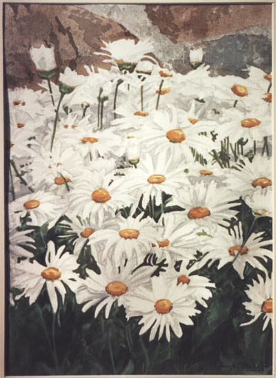 Daisies